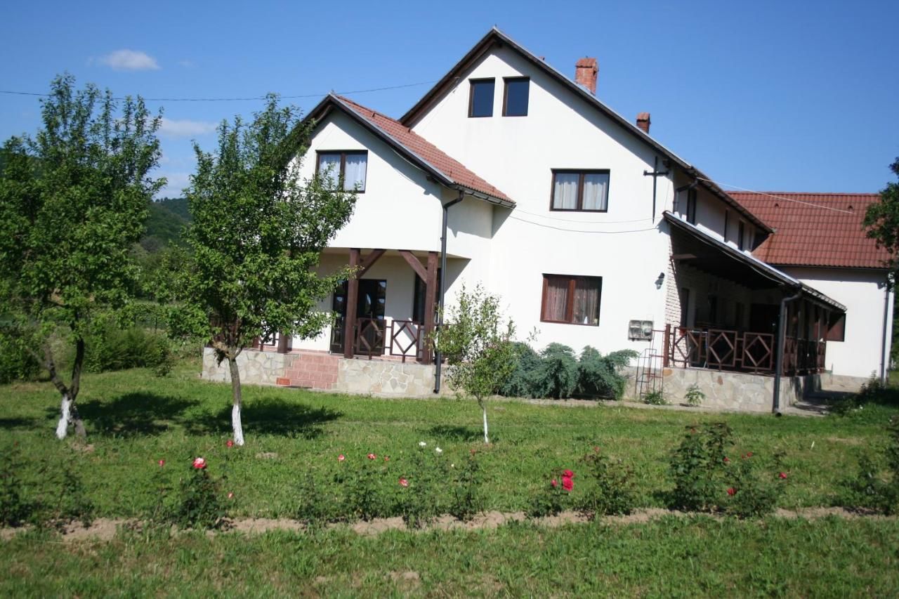 Загородные дома Dobarlica Dobîrlău-18